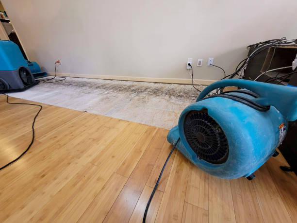 Professional Burst Pipe Water Damage technician working in Bainbridge Island, WA
